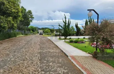 Terreno à venda na Pr-466, 258, Industrial, Guarapuava