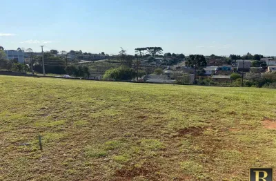 Terreno à venda na Avenida Moacir Julio Silvestre, 4865, Cascavel, Guarapuava