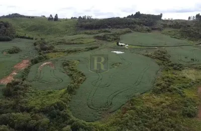 Chácara / sítio à venda no Zona Rural, Inácio Martins 