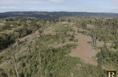 Chácara / sítio à venda na Área Rural de Guarapuava, Guarapuava 
