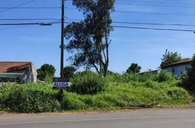 Terreno comercial para alugar na Avenida Manoel Antônio, 496, Vila Bela, Guarapuava