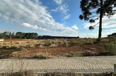 Terreno à venda na Rua Quinze de Novembro, 450, Alto da XV, Guarapuava
