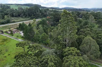 Chácara / sítio à venda na Área Rural de Guarapuava, Guarapuava 