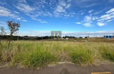 Terreno à venda na Avenida das Profissões, Morro Alto, Guarapuava