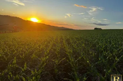 Fazenda à venda na Zona Rural, Goioxim 
