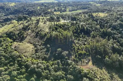 Fazenda à venda na Zona Rural, Pinhão 