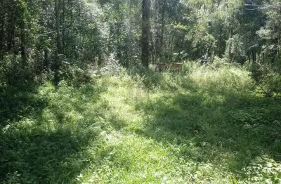 Chácara / sítio à venda no Entre Rios, Guarapuava 