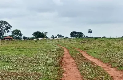 Terreno à venda no Jardim Anastácio, Barretos 