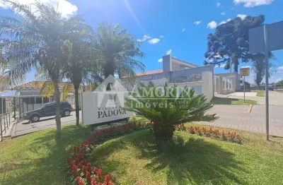 Apartamento á venda, com 3 dormitórios à venda, santa quiteria, curitiba - pr