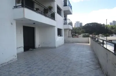 Aluguel - apartamentos - 3 dormitórios - santa catarina - caxias do sul - rs