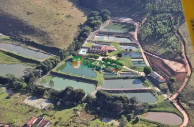 Fazenda de piscicultura, pousada rural e pesca esportiva para venda em barão de ibitinga: socorro no estado de são paulo - 4448