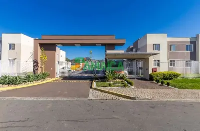 Apartamento para locação - 60m² com 03 quartos - weissópolis – pinhais - 5299