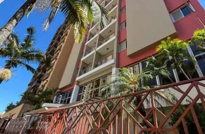 Apartamento 3 dormitórios (uma suíte), andar alto, no bairro alto