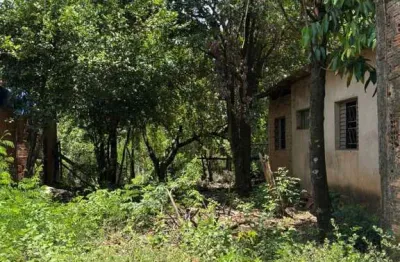 Terreno grande, plano, com frutíferas e uma casa antiga - Bairro: Santa Terezinha