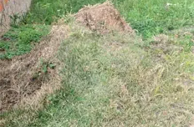 Terreno à venda com 1 quarto, sendo 1 suíte,  no condomínio picollo villaggio, louveira - sp