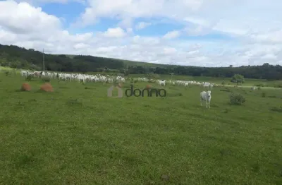 Fazenda à venda, 5 quartos, 1 suíte, 4 vagas, são cristóvão - patrocinio/mg