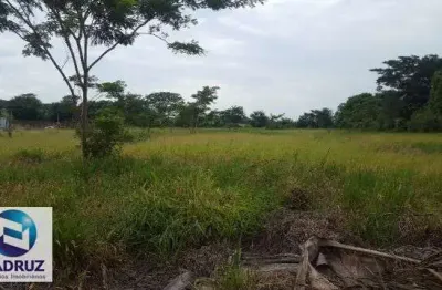 Area para vender, area comercial, frente rodovia, proximo a rio preto, 10mil metros, plana, para fazer barracão