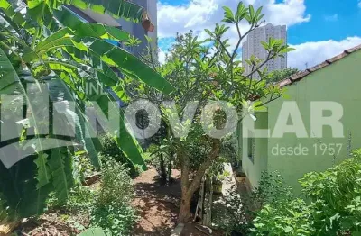 Oportunidade única de investimento!  terreno na vila guilherme com 375 m² de área total