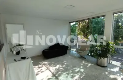 Prédio com 5 salas para alugar na Vila Maria, São Paulo 