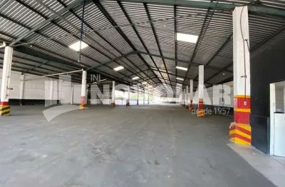 Galpão para locação no parque novo mundo 3.521m² construídos  pé-direito de 6m docas e pátio