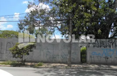 Terreno 3.700m² para alugar na vila guilherme ? em avenida principal