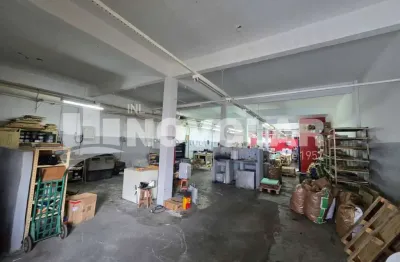 Barracão / Galpão / Depósito à venda na Vila Gustavo, São Paulo 