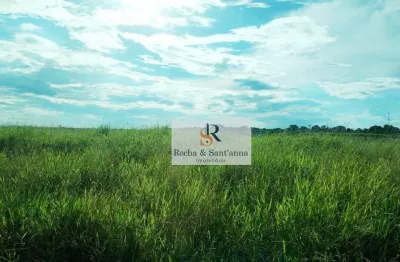 Terreno à venda no Cardeal, Elias Fausto 