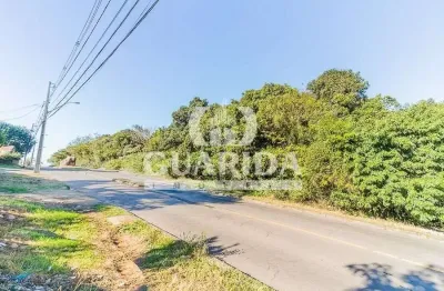 Terreno à venda na estrada cristiano kraemer, 3111, vila nova, porto alegre por r$ 250.000