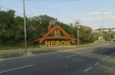 Terreno à venda na estrada joão de oliveira remião, 8520, lomba do pinheiro, porto alegre por r$ 3.500.000