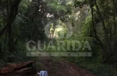 Chácara / sítio com 1 quarto à venda na estrada são caetano, 2501, lami, porto alegre por r$ 2.500.000