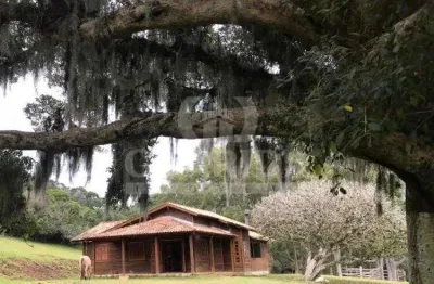 Chácara / sítio com 3 quartos à venda na rodovia frei pacífico, 4750, itapuã, viamão por r$ 600.000