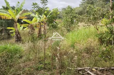 Chácara / sítio à venda na rodovia coronel acrísio martins prates, 7914, fiuza, viamão por r$ 300.000