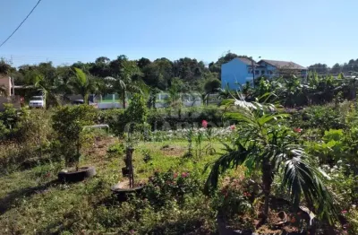 Chácara / sítio com 3 quartos à venda na beco calábria, 281, restinga, porto alegre por r$ 1.060.000