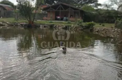 Chácara / sítio com 4 quartos à venda na rua do jesuíno, 590, lageado, porto alegre por r$ 789.000