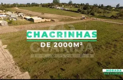 Chácara / sítio com 1 quarto à venda na estrada jacques da rosa, 1750, lageado, porto alegre por r$ 350.000