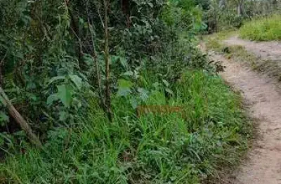 Terreno em condomínio fechado à venda na Praça Matriz, Porto de Sauipe, Entre Rios