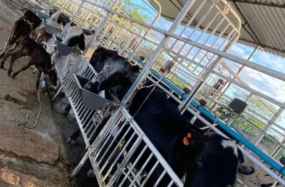 Fazenda à venda na Zona Rural, Iaçu 