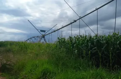 Fazenda à venda na Zona Rural, Perdizes 