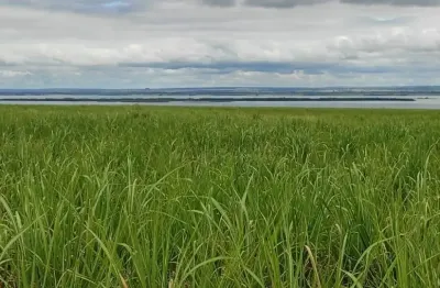 Vende-se fazenda em castilho - município de teodoro sampaio