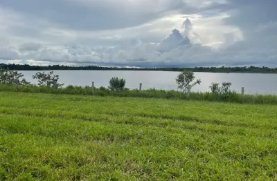 Vende-se fazenda  no estado do tocantins dupla aptidão pecuária e lavoura