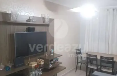 Apartamento com 2 quartos à venda na rua manoel sylvestre de freitas filho, 1275, jardim nova europa, campinas, 50 m2 por r$ 240.000