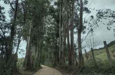 Fazenda à venda na Zona Rural, Chácara 