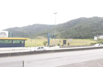 Terreno para alugar, 40000 m² por r$ 150.000/mês - várzea do ranchinho - camboriú/sc