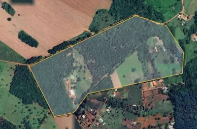 Fazenda à venda na Rua, Joanápolis, Anápolis