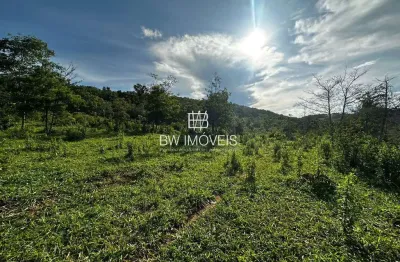 Fazenda 24 alqueires à venda em jaraguá-go – água abundante e acesso fácil