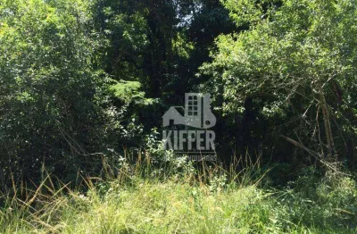 Terreno à venda, 11080 m² por r$ 270.000,00 - várzea das moças - niterói/rj