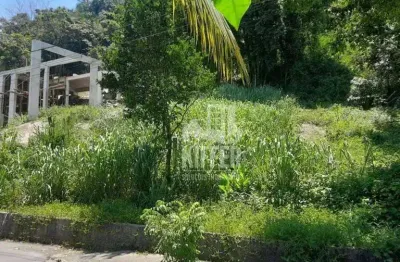 Terreno à venda, 1000 m² por r$ 600.000,00 - piratininga - niterói/rj