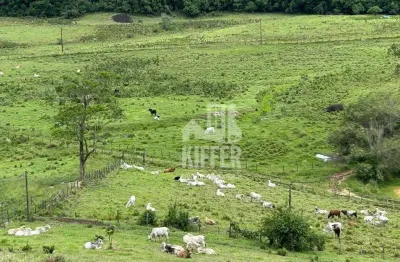 Fazenda à venda em rio bonito – 121 hectares (25 alqueires) com estrutura completa e documentação em dia