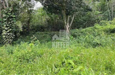 Terreno à venda, 2091 m² por r$ 240.000,00 - pendotiba - niterói/rj