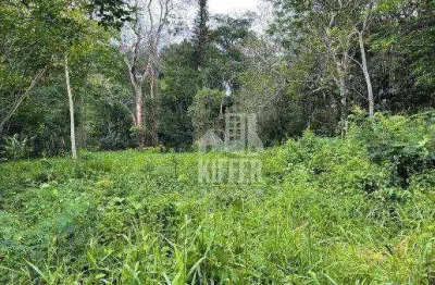 Terreno à venda, 2049,30 m² por r$ 240.000 - muriqui - niterói/rj